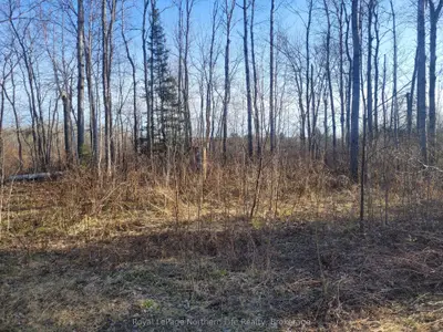 Vacant Land in Papineau-Cameron