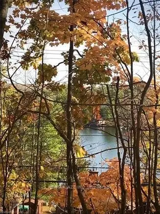 Vacant Land in North Kawartha