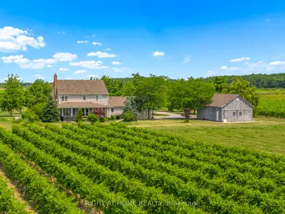 Farm in Niagara-on-the-Lake