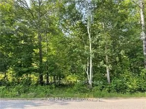 Lot C PARCHER Road, Madawaska Valley, ON K0J 1B0
