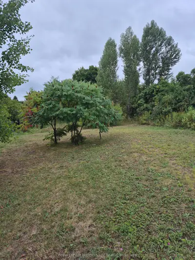 Vacant Land in Mattawa