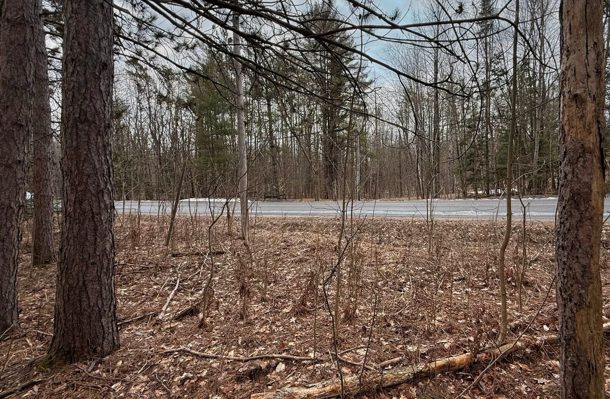 93 East Carling Bay Road, Carling, On P0g 1g0