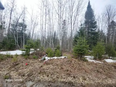 Vacant Land in Bancroft