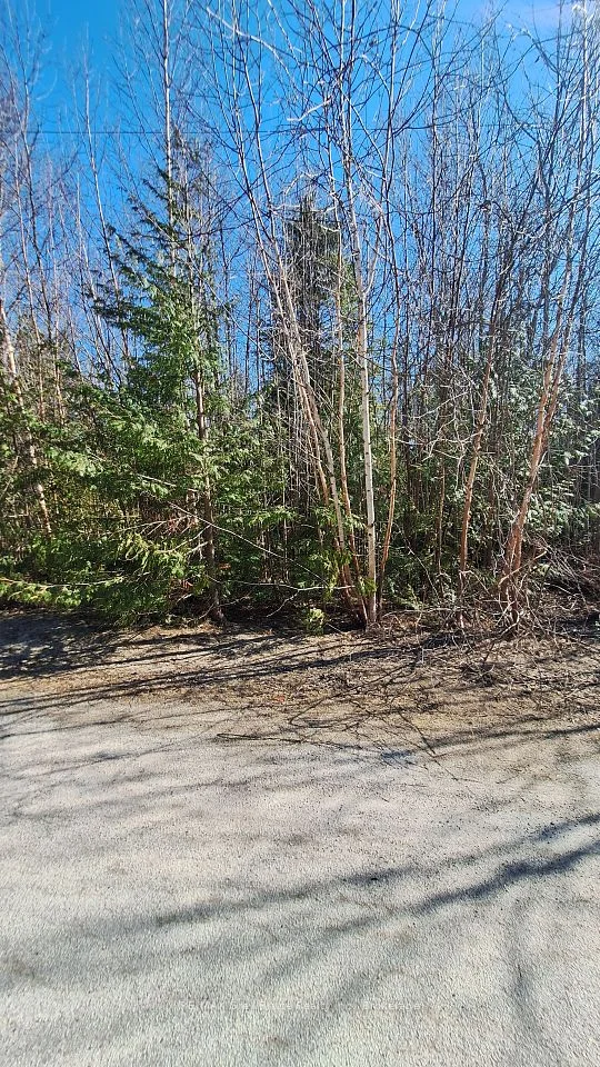 12 Tamarac Road W, South Bruce Peninsula, ON N0H 2T0