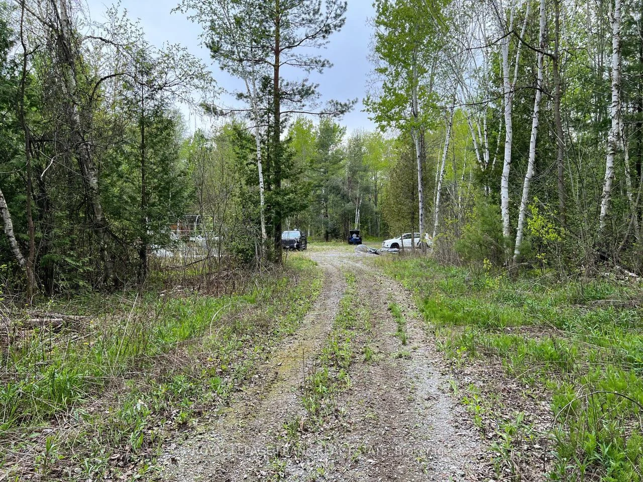 . Rutherford Road, Alnwick/haldimand, On K0k 1s0