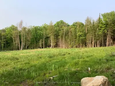 Vacant Land in Highlands East