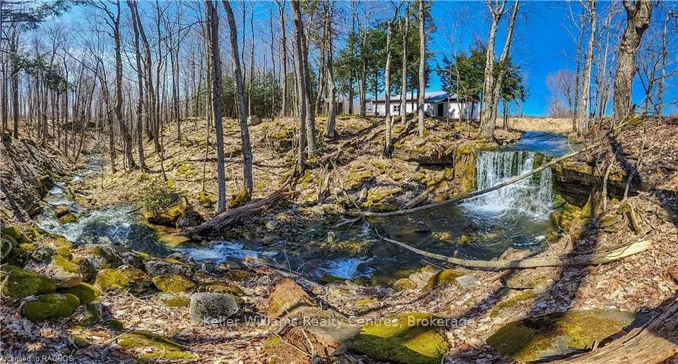 LT 34 Concession 24 , Georgian Bluffs, ON N0H 2T0