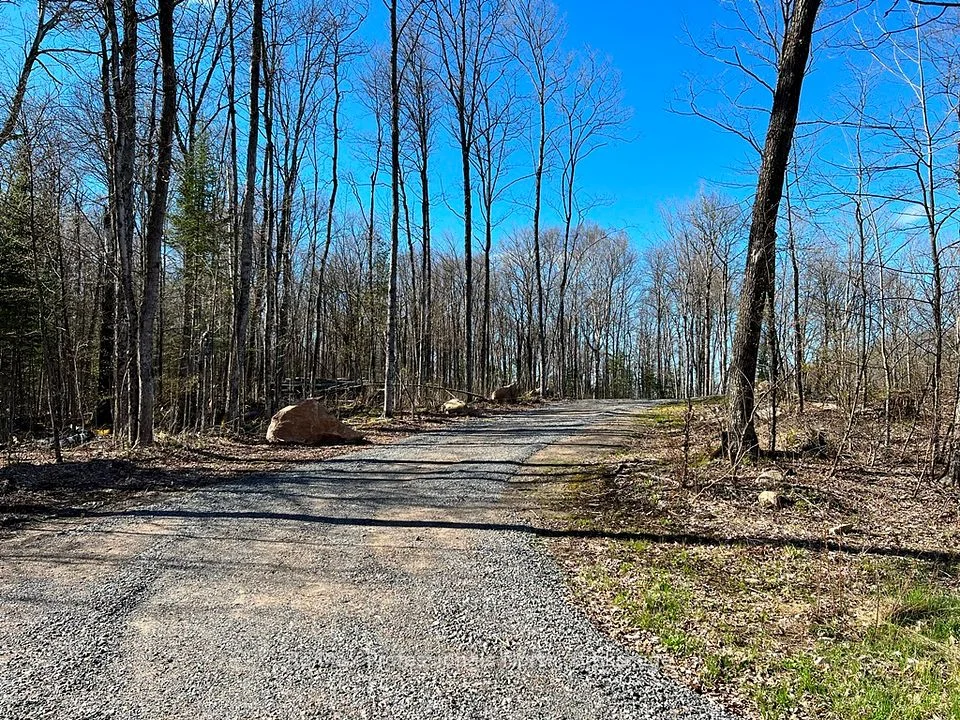 1199 CEDAR LAKE Road, Highlands East, ON K0L 3C0