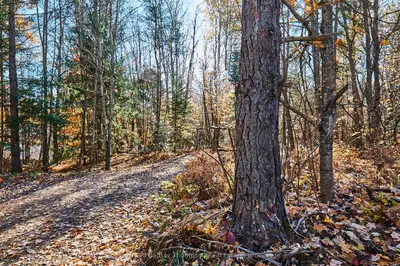 0 East Waseosa Lake Road, Huntsville, On P1h 2j4