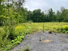 Vacant Land in Orleans - Cumberland and Area