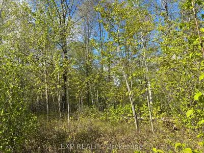 Vacant Land in Madawaska Valley