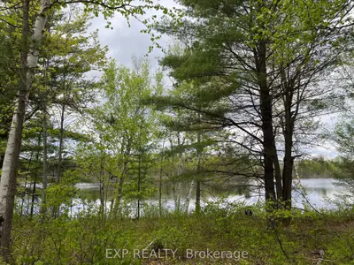 Vacant Land in Madawaska Valley