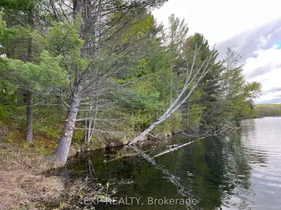 Vacant Land in Madawaska Valley