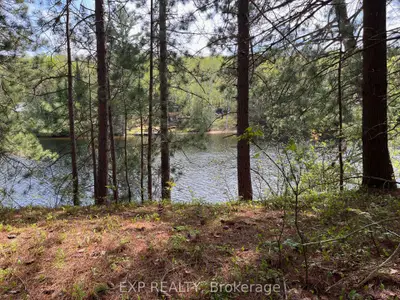Vacant Land in Madawaska Valley