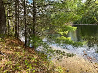 Vacant Land in Madawaska Valley