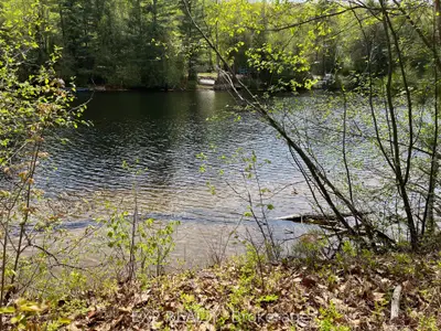Vacant Land in Madawaska Valley