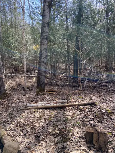 Vacant Land in Algonquin Highlands