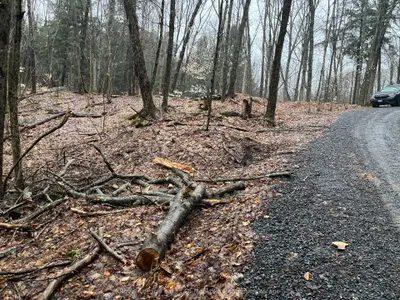 Vacant Land in Huntsville