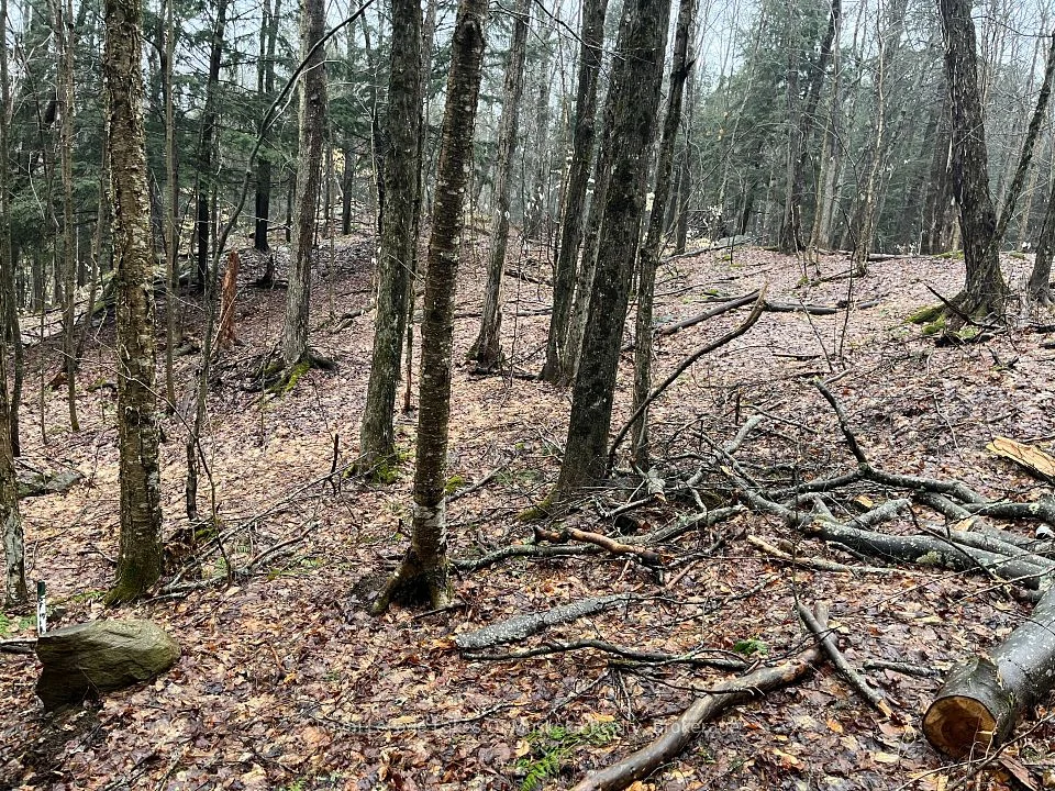 LOT 90 LOOKOUT POINT Road, Huntsville, ON P1H 2J2