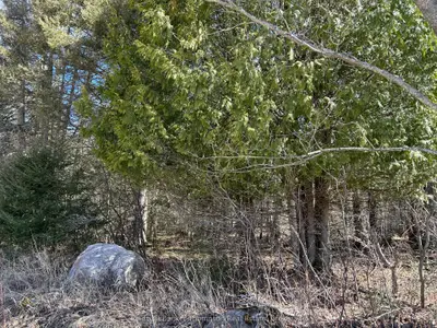 Vacant Land in Chisholm