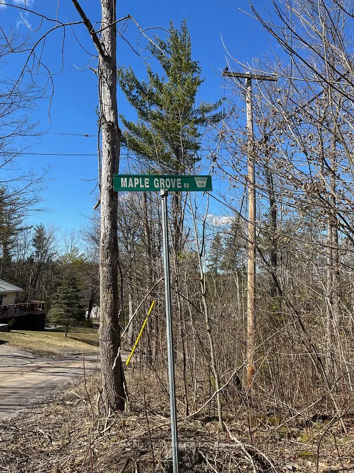 0 Maple Grove Lot B Road, Trent Hills, ON K0K 2M0