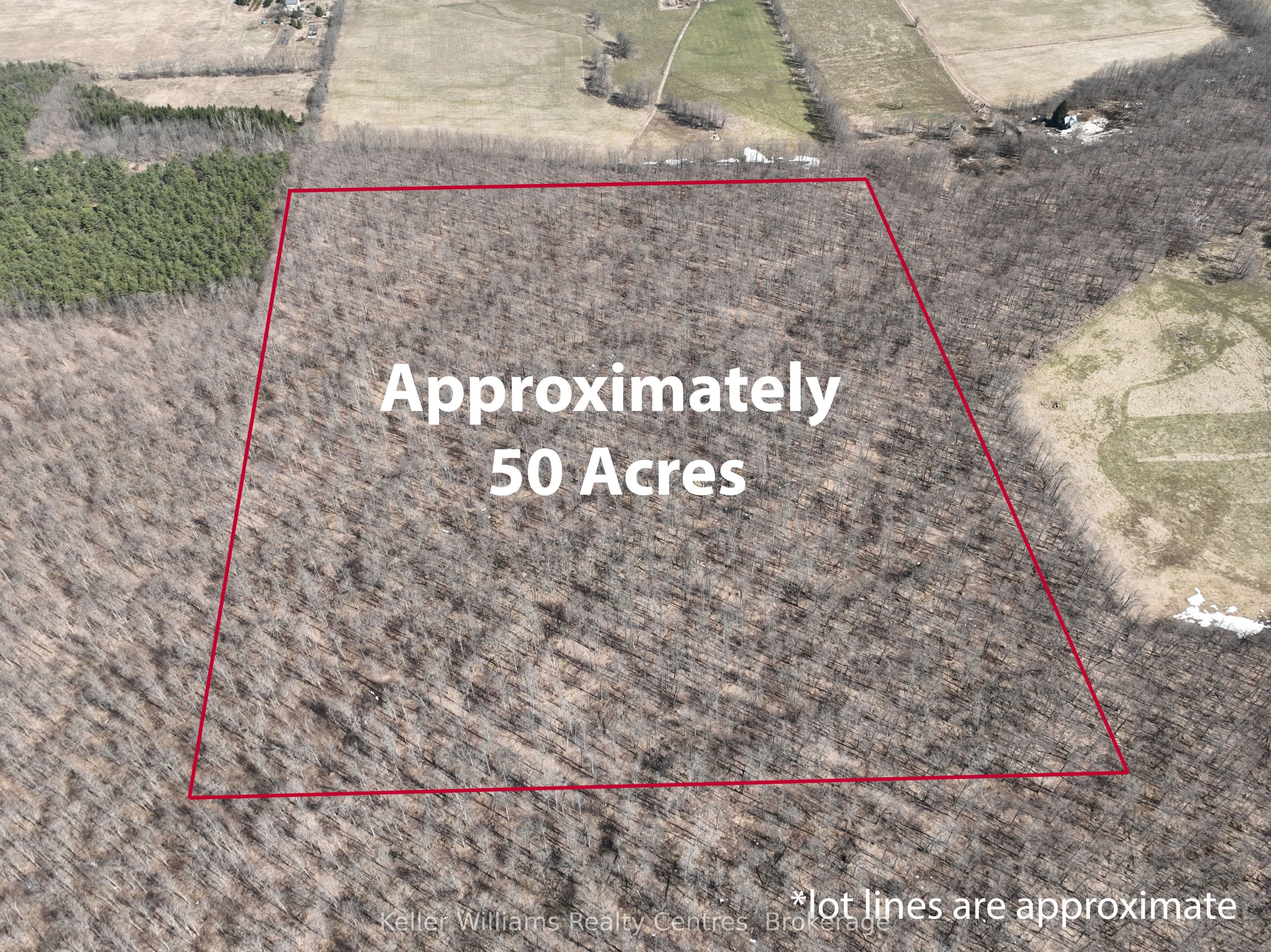 463176 Concession 24 Acres S, Georgian Bluffs, ON N0H 2T0