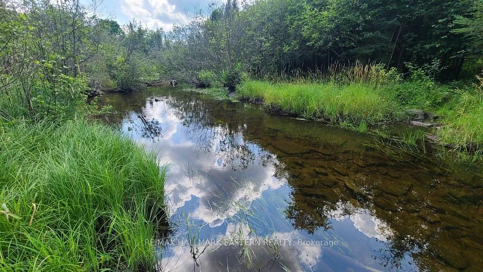 Keating Road N, Havelock-Belmont-Methuen, ON K0L 1Z0