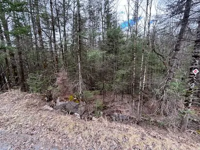 Vacant Land in Lanark Highlands