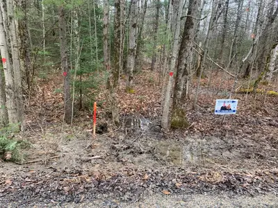 Vacant Land in Central Frontenac
