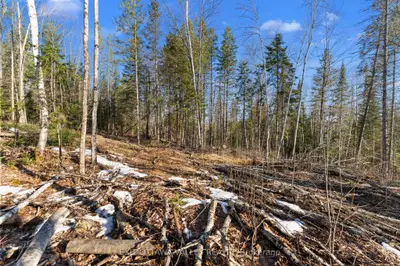 Vacant Land in Madawaska Valley