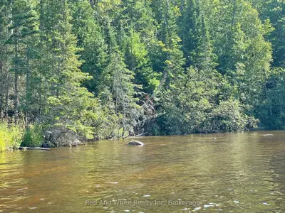 Vacant Land in Magnetawan