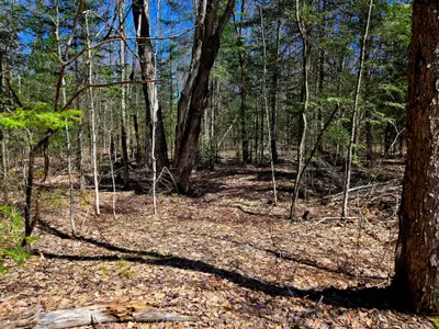Vacant Land in Nipissing