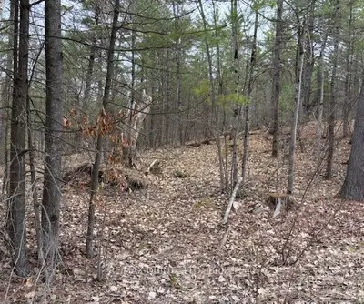 Vacant Land in Tweed