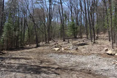 0000 South Ril Lake Road, Lake Of Bays, On P0b 1a0