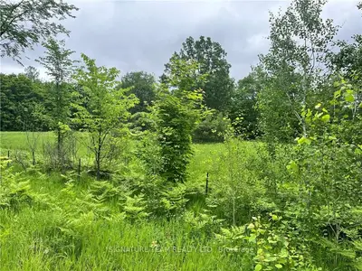 Vacant Land in Whitewater Region