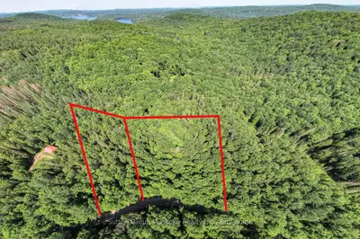 Vacant Land in Armour