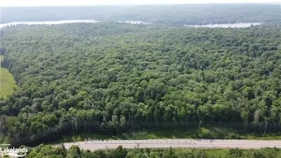 Vacant Land in Minden Hills