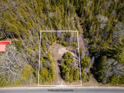 Vacant Land in Northern Bruce Peninsula