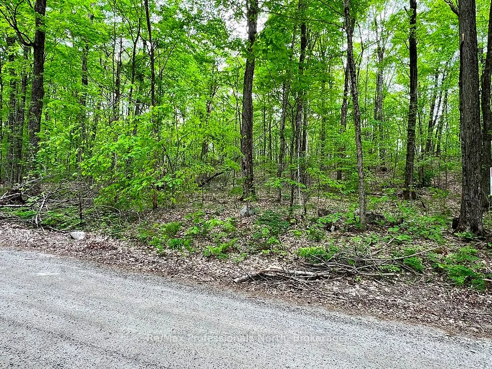 Salerno Lake Road, Highlands East, ON K0M 1X0