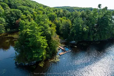 Detached in Lake of Bays