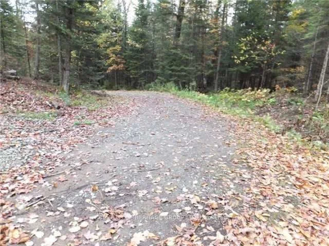 1646 Kennisis Lake Road, Dysart et al, ON KOL 1S0