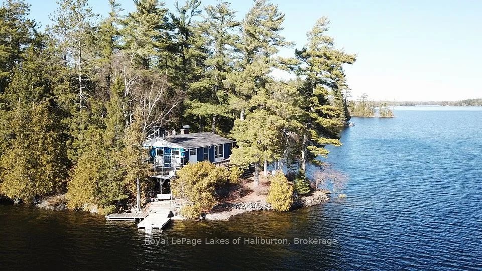 96 PINE POINT Trail, Trent Lakes, ON K0M 2A0