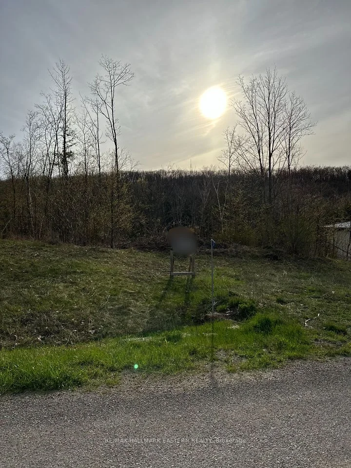 62 Trent View Drive, Trent Hills, On K0l 1y0