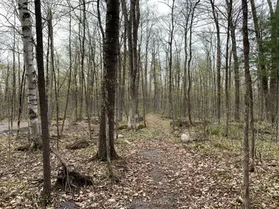 00 O'toole Road, Orleans - Cumberland And Area, On K4c 1m4