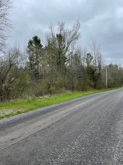 Vacant Land in Loyalist