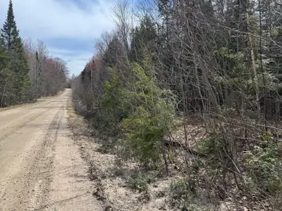 Vacant Land in Ryerson