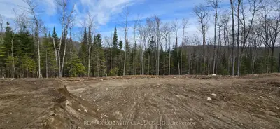 Vacant Land in Bancroft