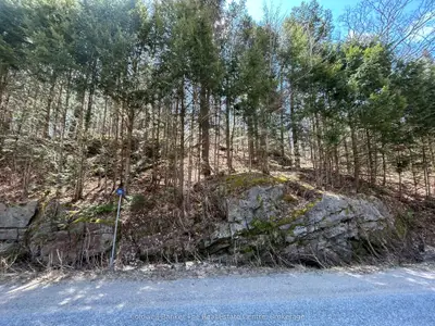 3560 Kawagama Lake Road, Algonquin Highlands, On P0a 1e0