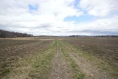 1470 Bromley Line, Whitewater Region, ON K0J 2L0