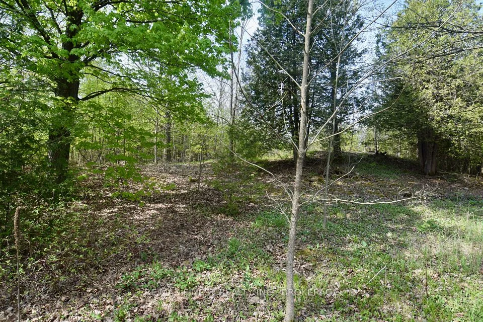 ~20 Ballantra Drive, Stone Mills, ON K0K 3G0